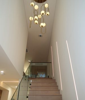 WhatsApp Image 2026-01-29 at 5.02.50 pm